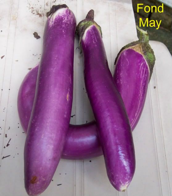 Fond May photo fondMay2.jpg